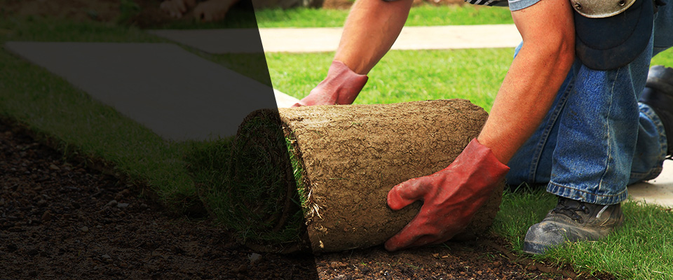 Destin Landscapers